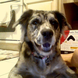 Meet your Posher, Braxton